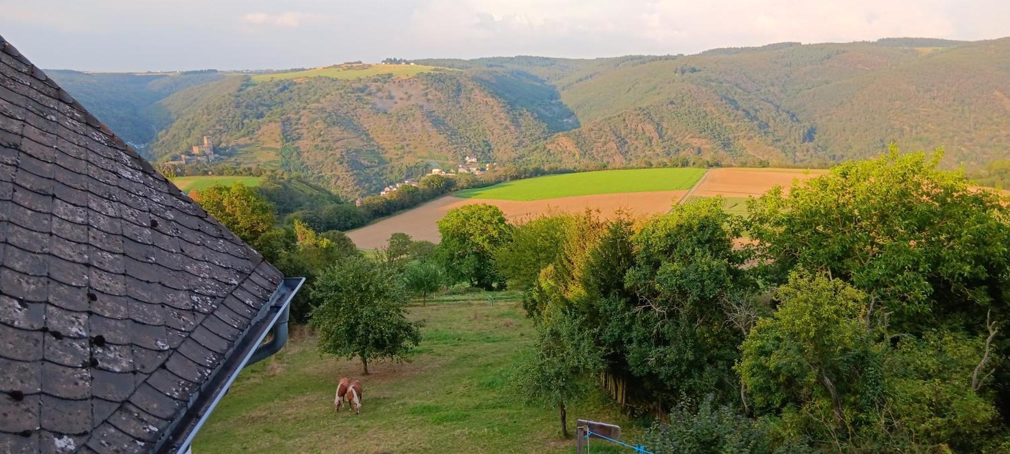 Romantische Ferienwohnung Rheingold 50 Qm Fuer 2 Bis 4 P Bacharach Zewnętrze zdjęcie